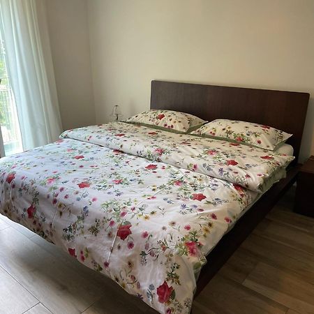 Appartamenti Ramarro Ronco sopra Ascona Exterior photo